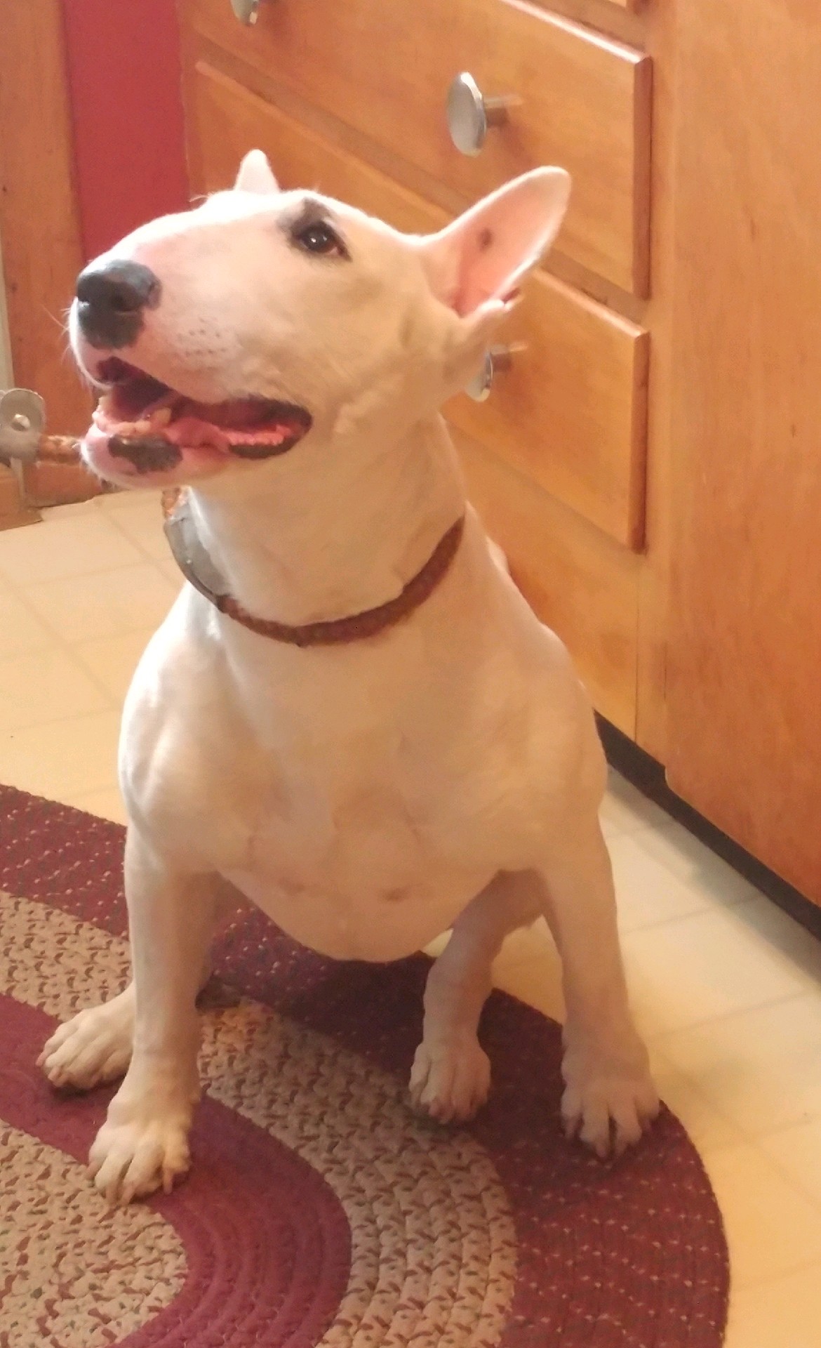 Lucy