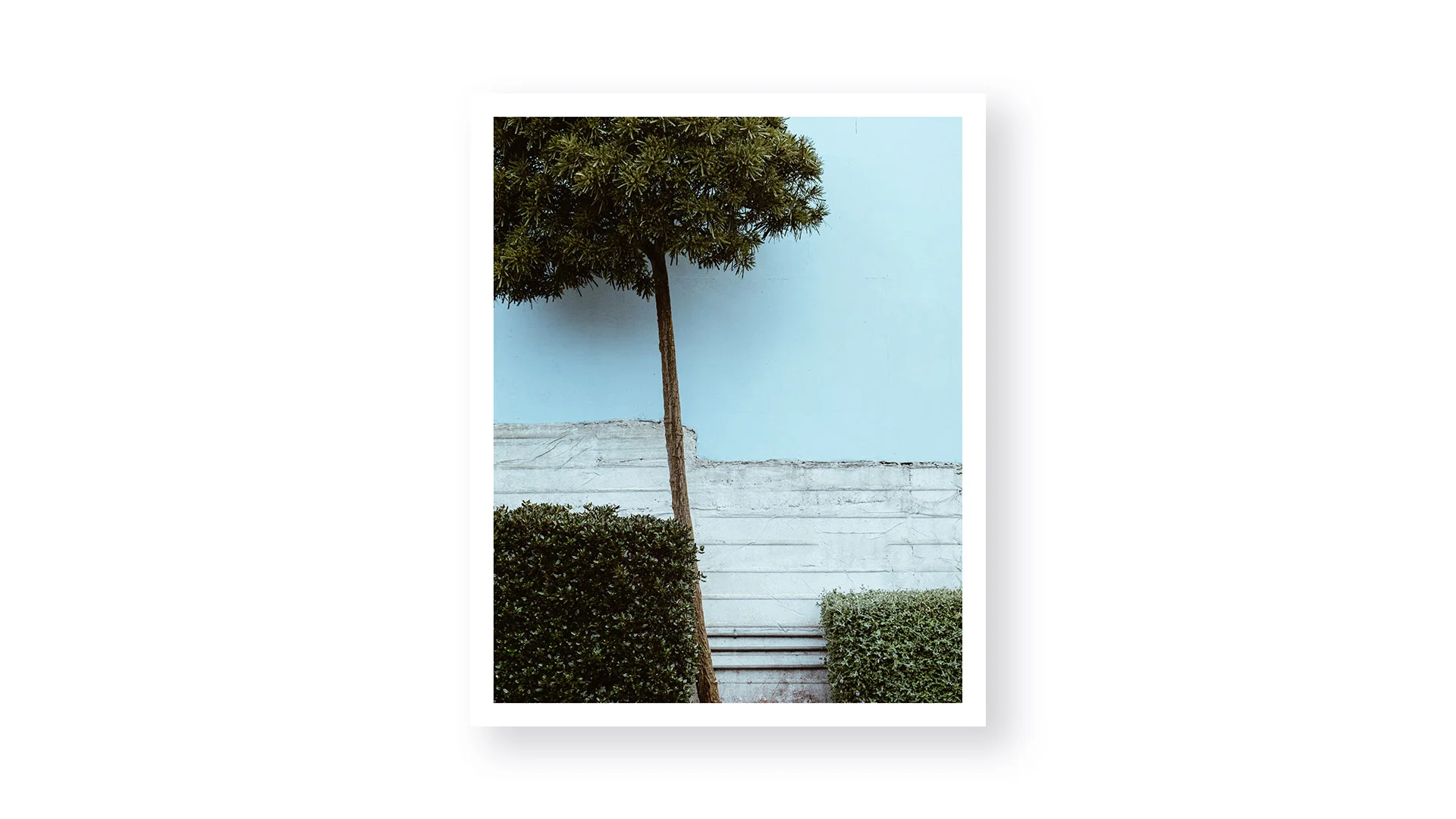  A photo series portraying the grunge and texture of various walls in New Zealand. A study in texture and balance 