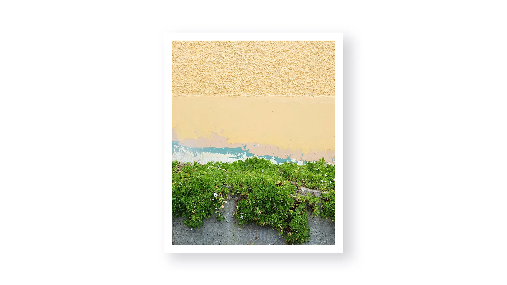  A photo series portraying the grunge and texture of various walls in New Zealand. A study in texture and balance 