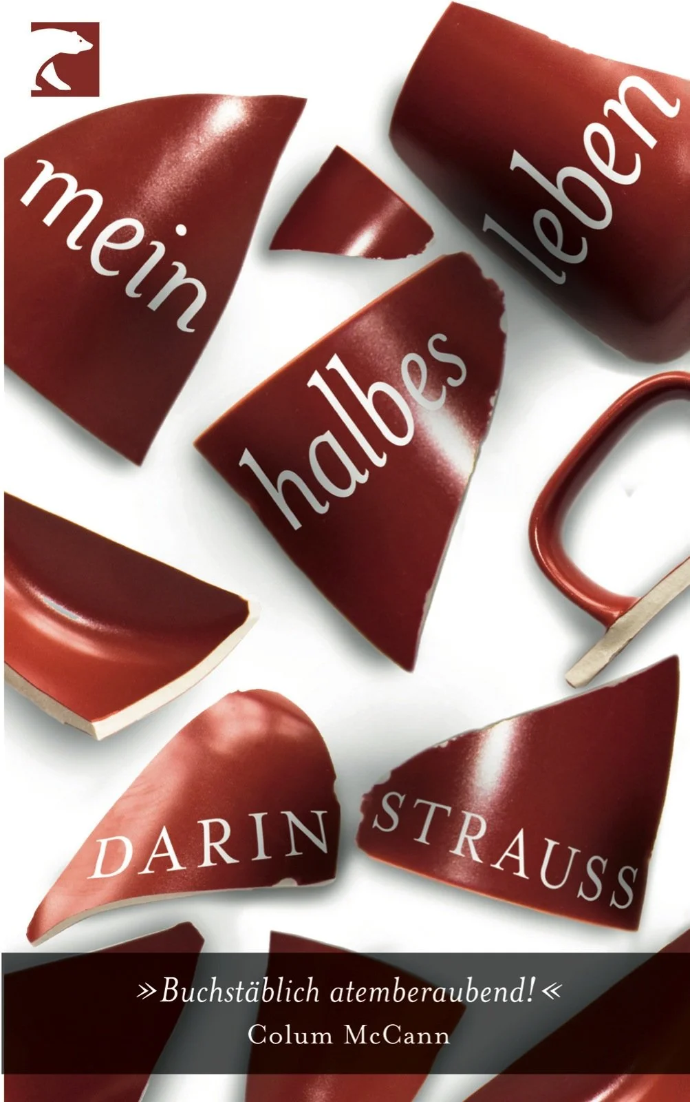 DarinStrauss_Cover.jpg