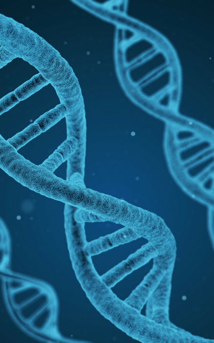 DNA.png