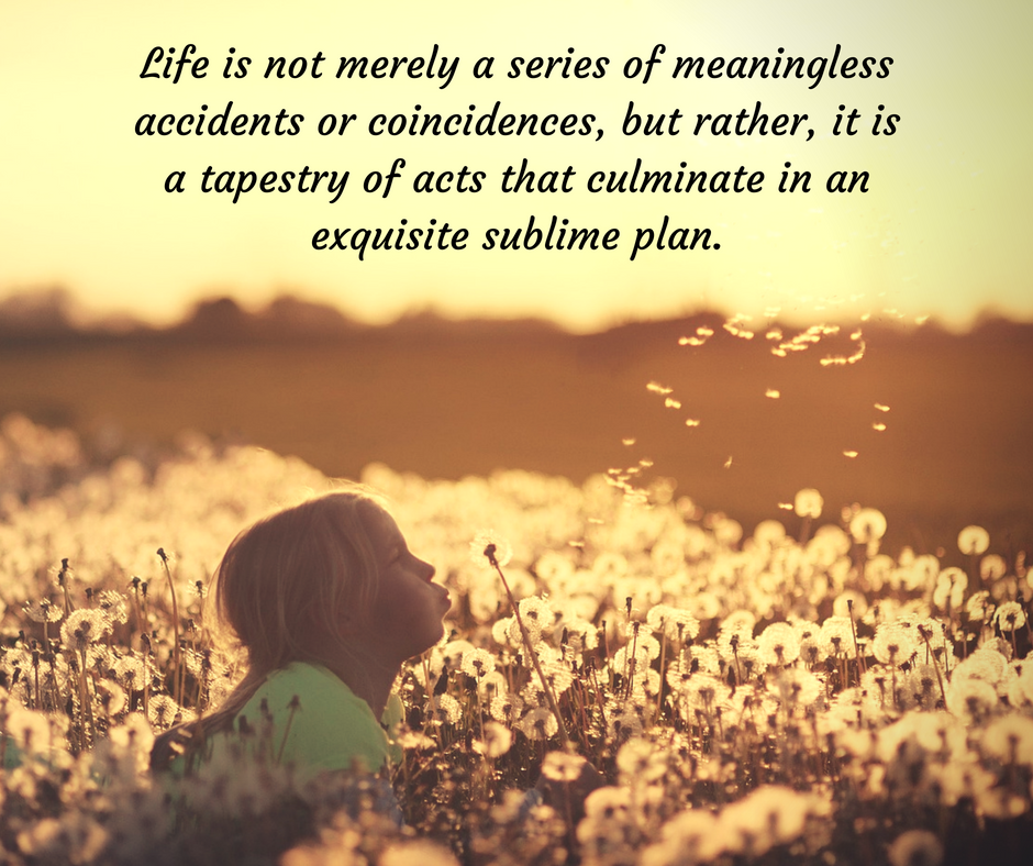 Life is not merely a series of meaningless accidents or coincidences, but rather, it is a tapestry of acts that culminate in an exquisite, sublime plan..png