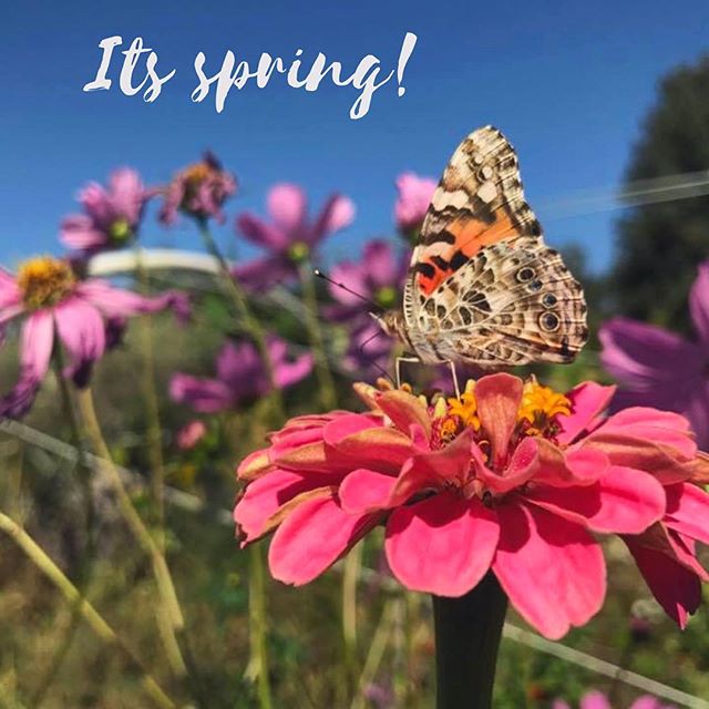 It&rsquo;s spring!!! It&rsquo;s official!!! We will be ringing in the new season by working in the mud and this much needed rain.
 #vernalequinox
#spring
#springcountdown 
#california 
#firstdayofspring