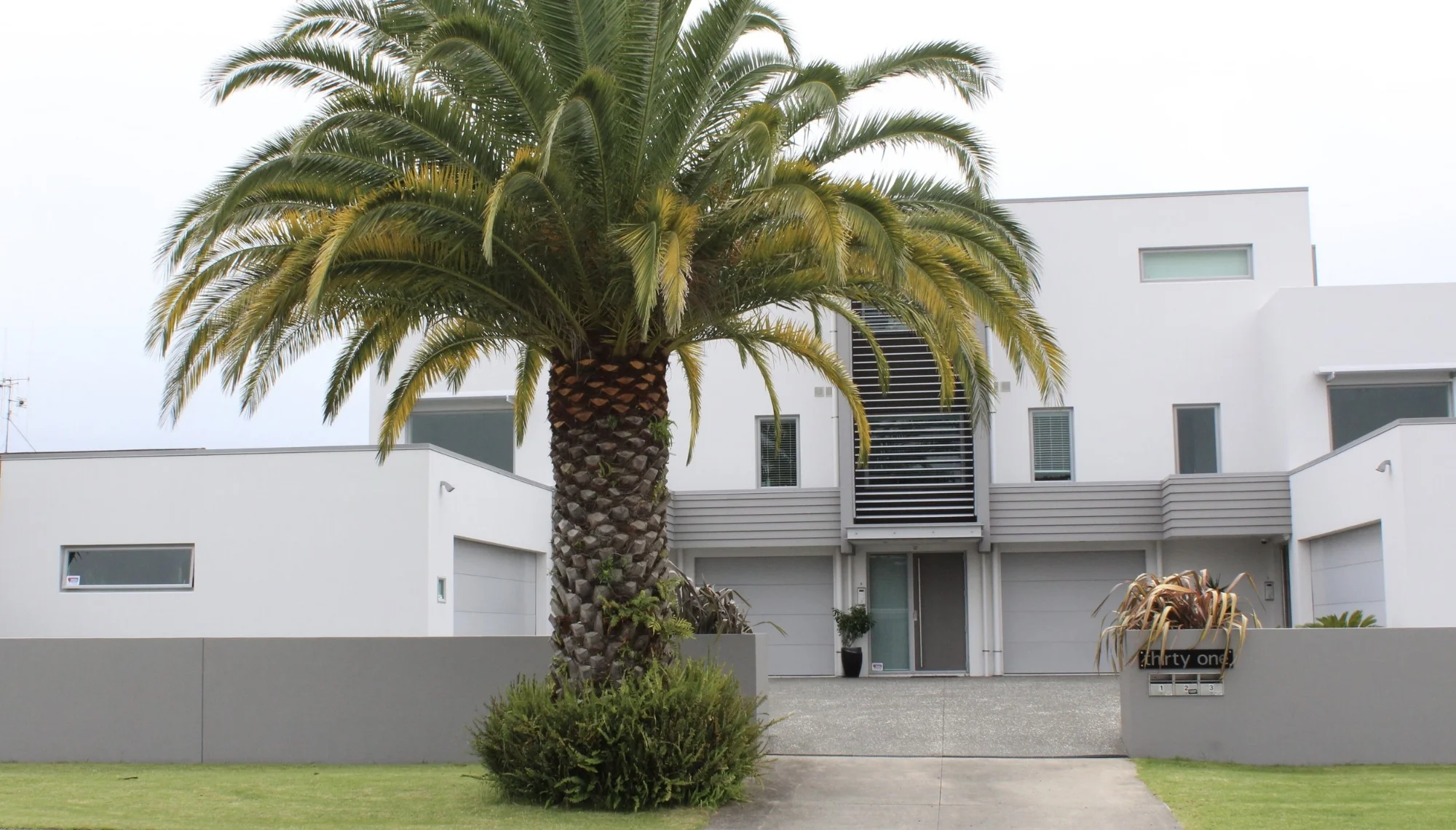 'Thirty One' Apartments | Bureta, Tauranga