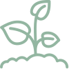 icons8-sprout-2.png
