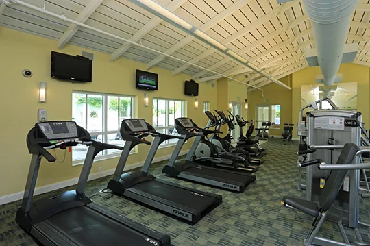 Gym2.jpg