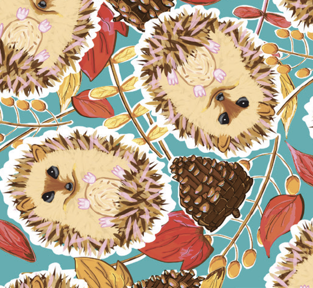 Hedgehogs