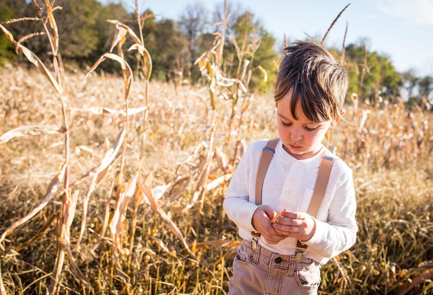 Back to photography. 
.
.
.
#family #familyphotography #familyphotographer #designer #missouriphotography #october #octobervibes #fouryearsold #farmstyle #photooftheday #fallminis
