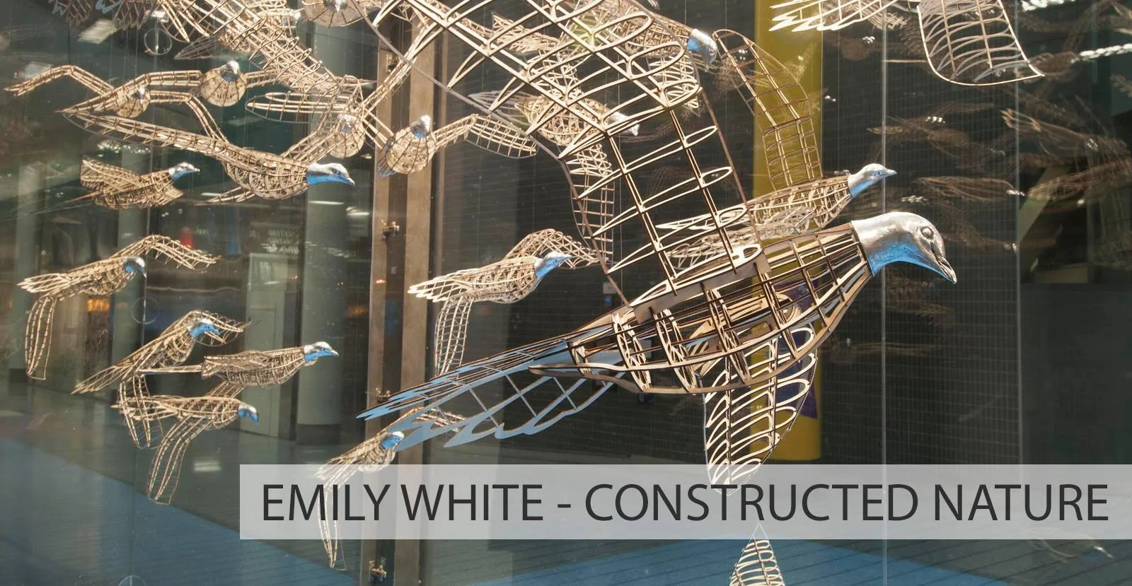 Emily White - Constructed Nature