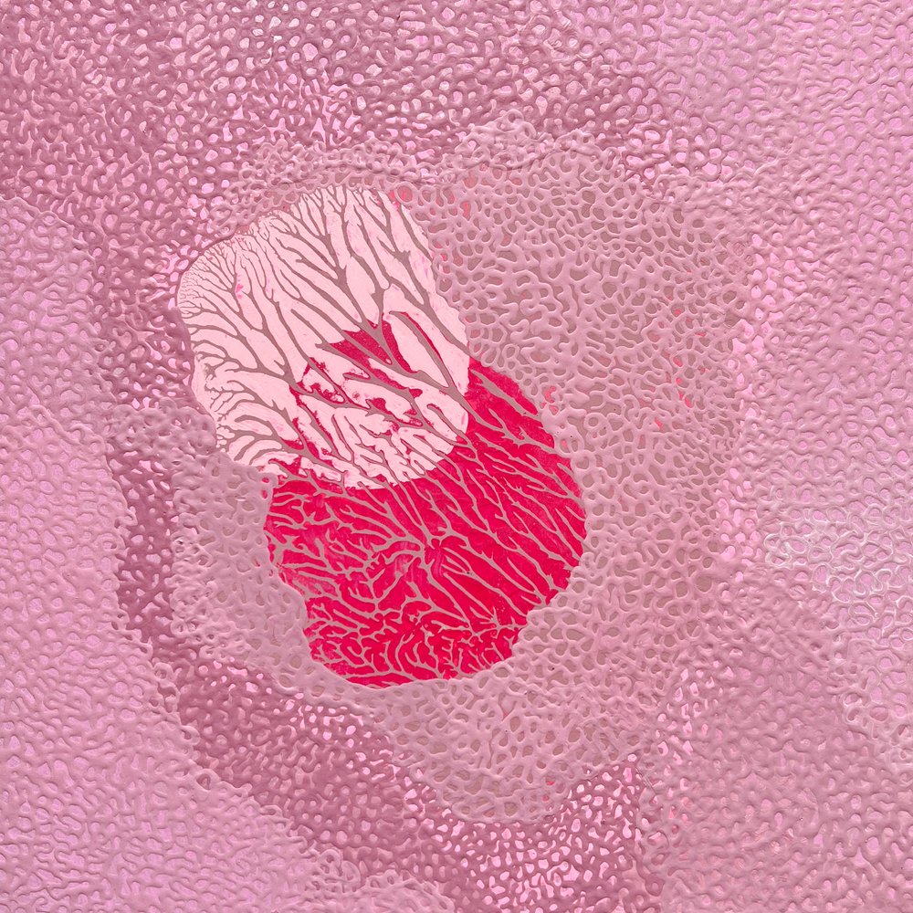 Pink Series: Venn