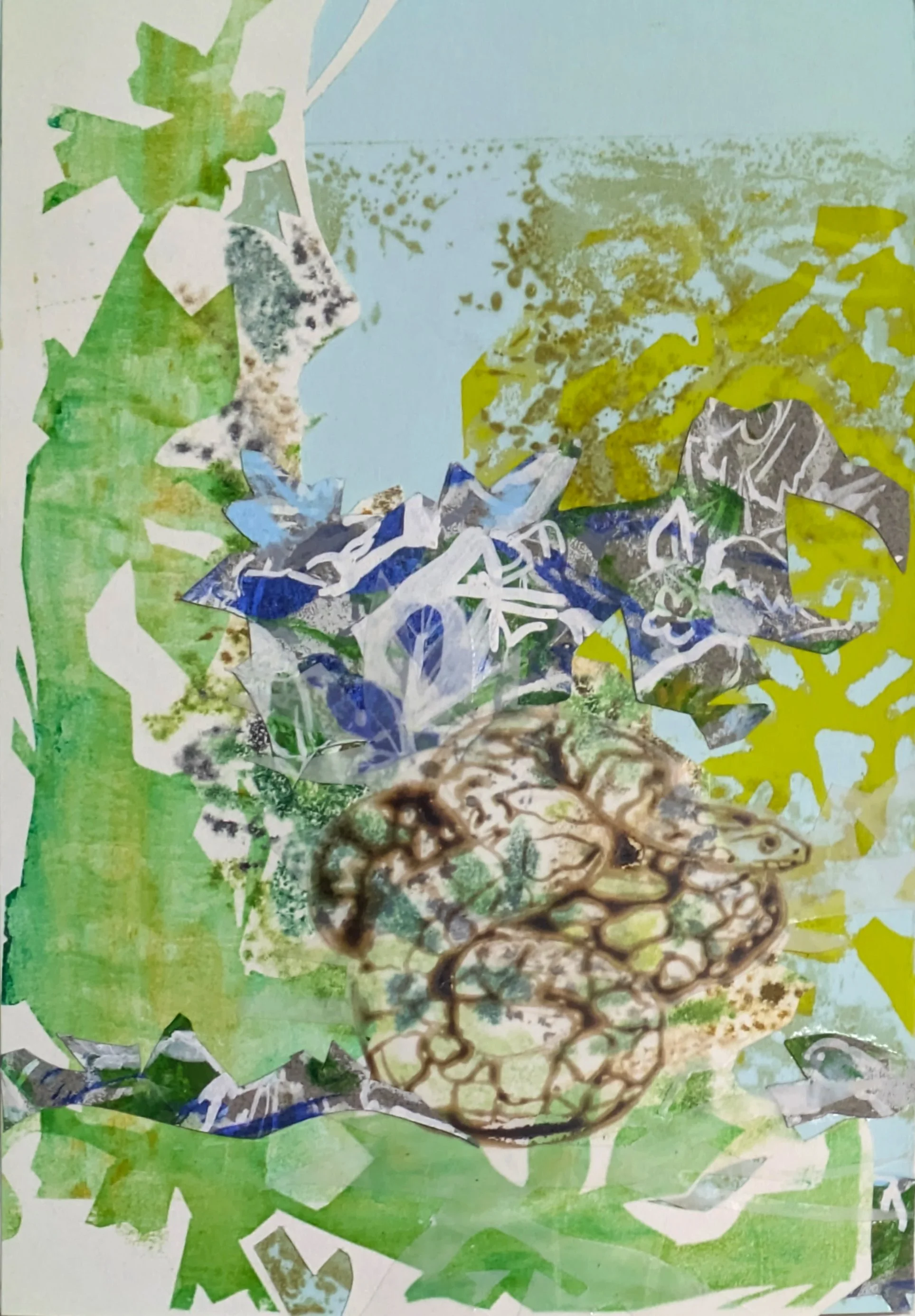  Strange-Scented Shade: Eastern Milksnake