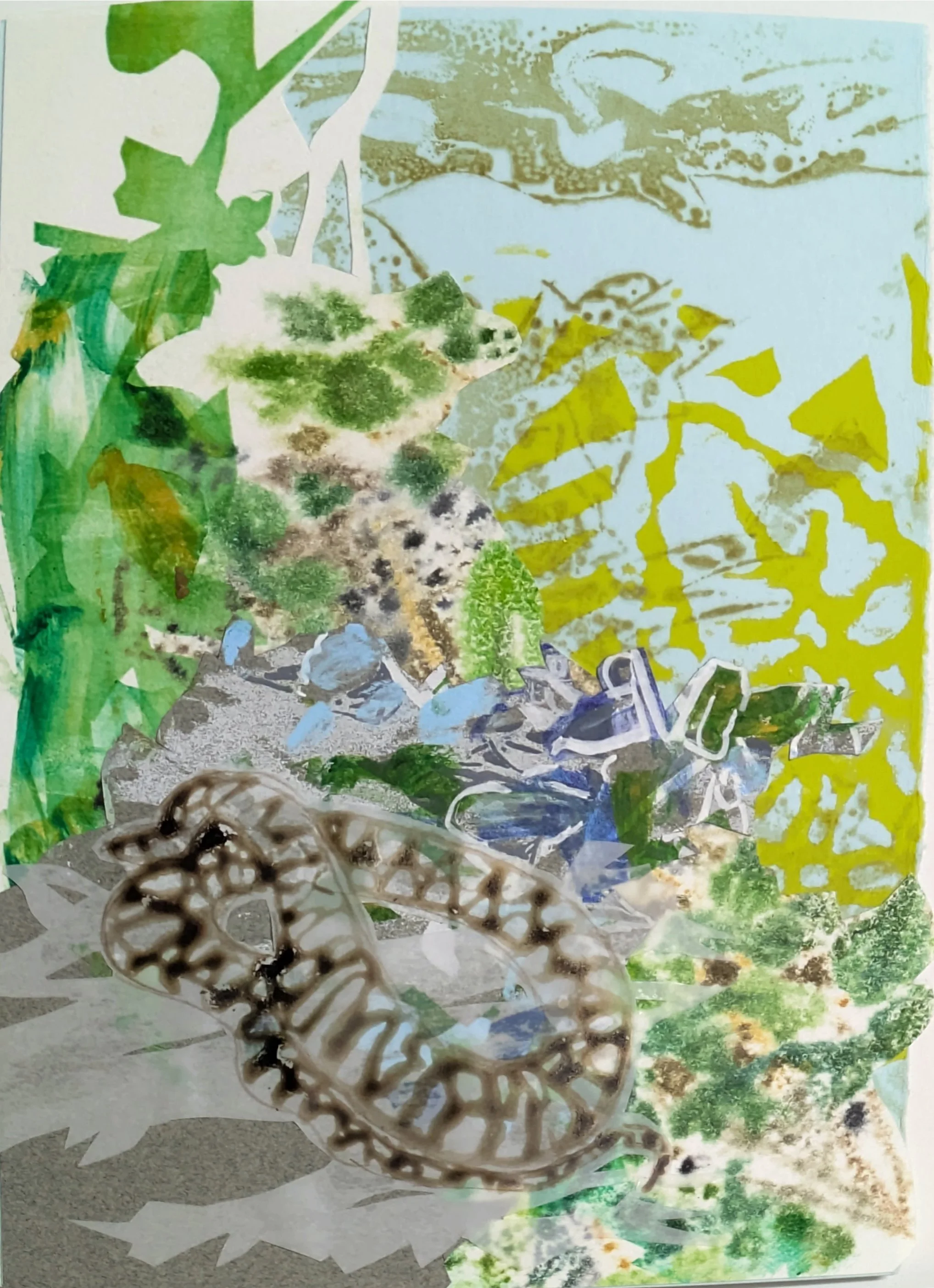  Strange-Scented Shade: Northern Watersnake