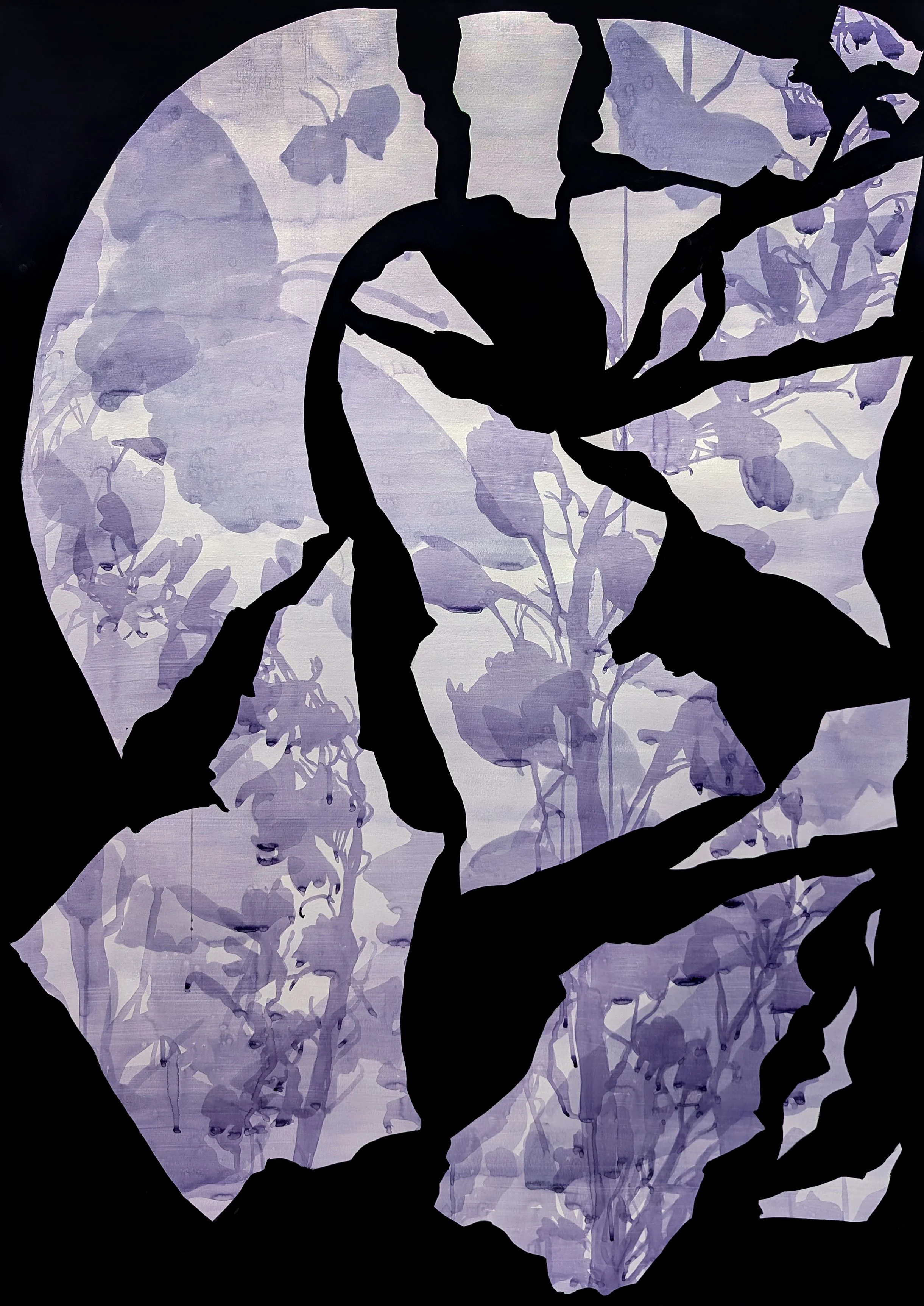 Occlusion: Our Slippery Dream