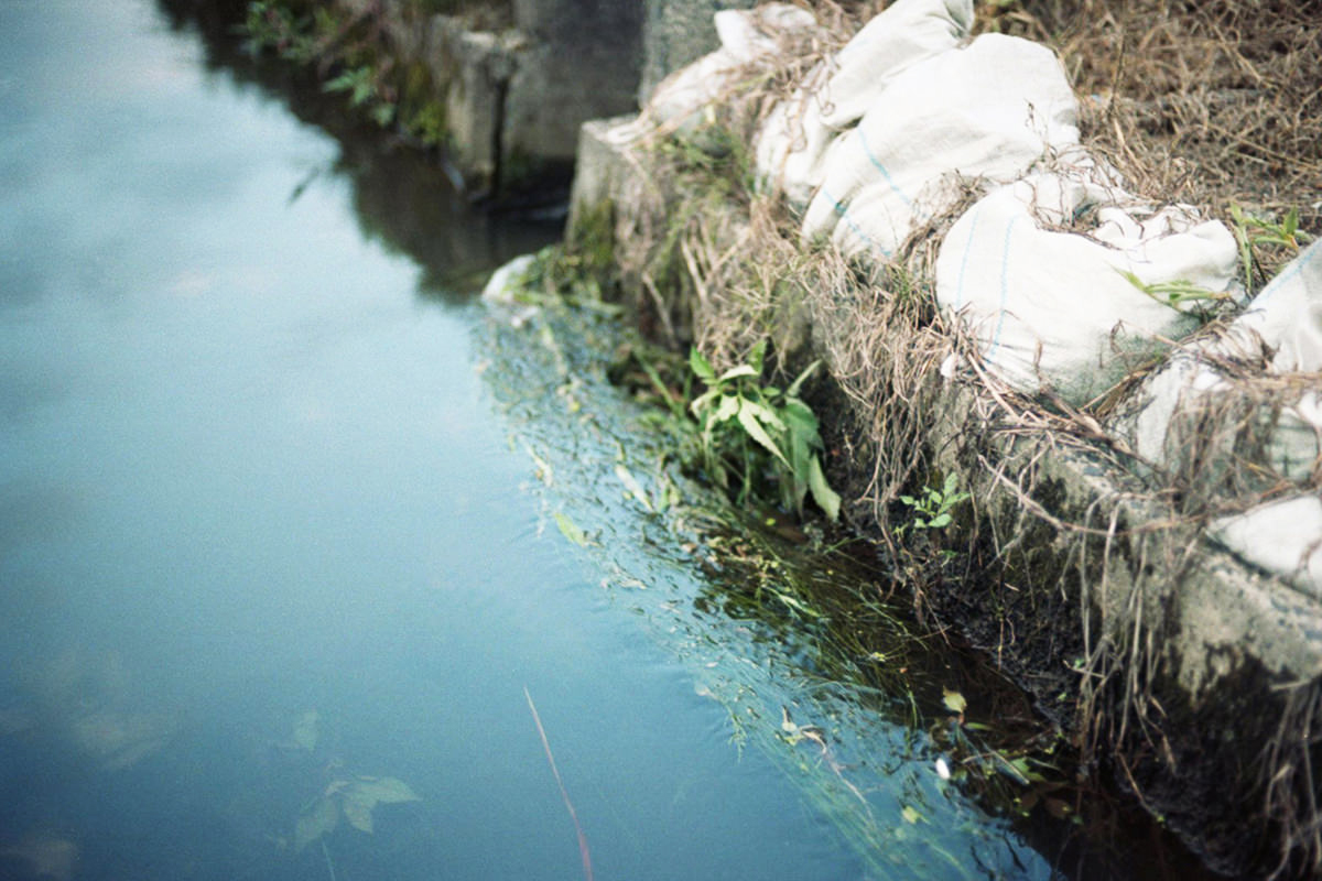 img002.jpg