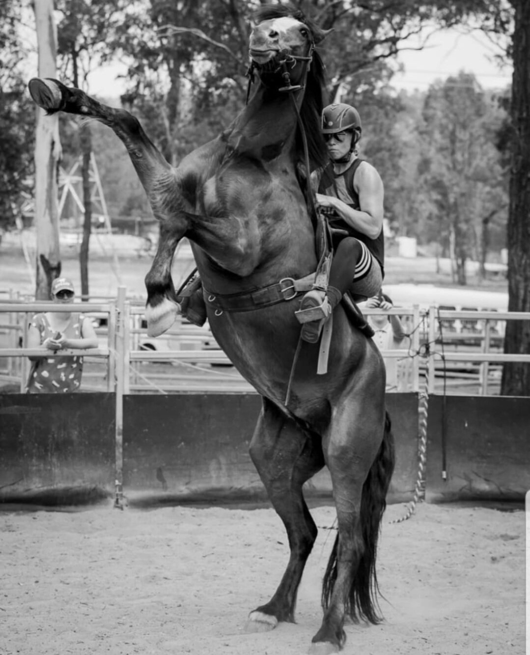 Naomi Turvey Horse Stunts.jpg