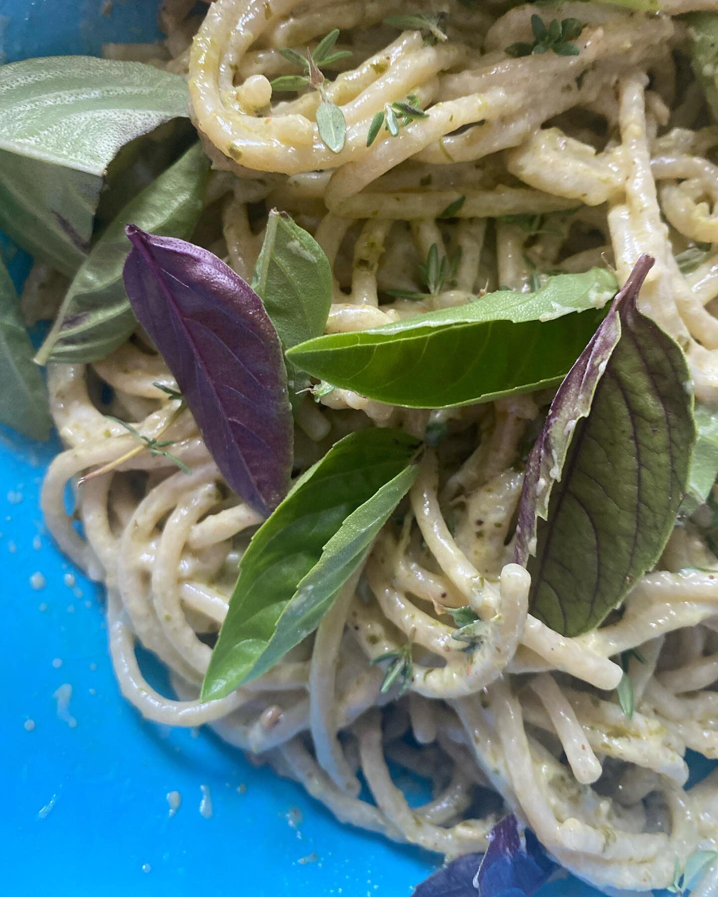 Basil pesto with red lentil pasta noodles topped with hemp seeds and purple basil and thyme. Would you try this?
*
*
*
*Follow @katszen_wellness
*
*
*

#plantbased #wfpb #plantbasedmpls #minneapolis #veganmpls #healthylifestyle #healthiswealth #immun