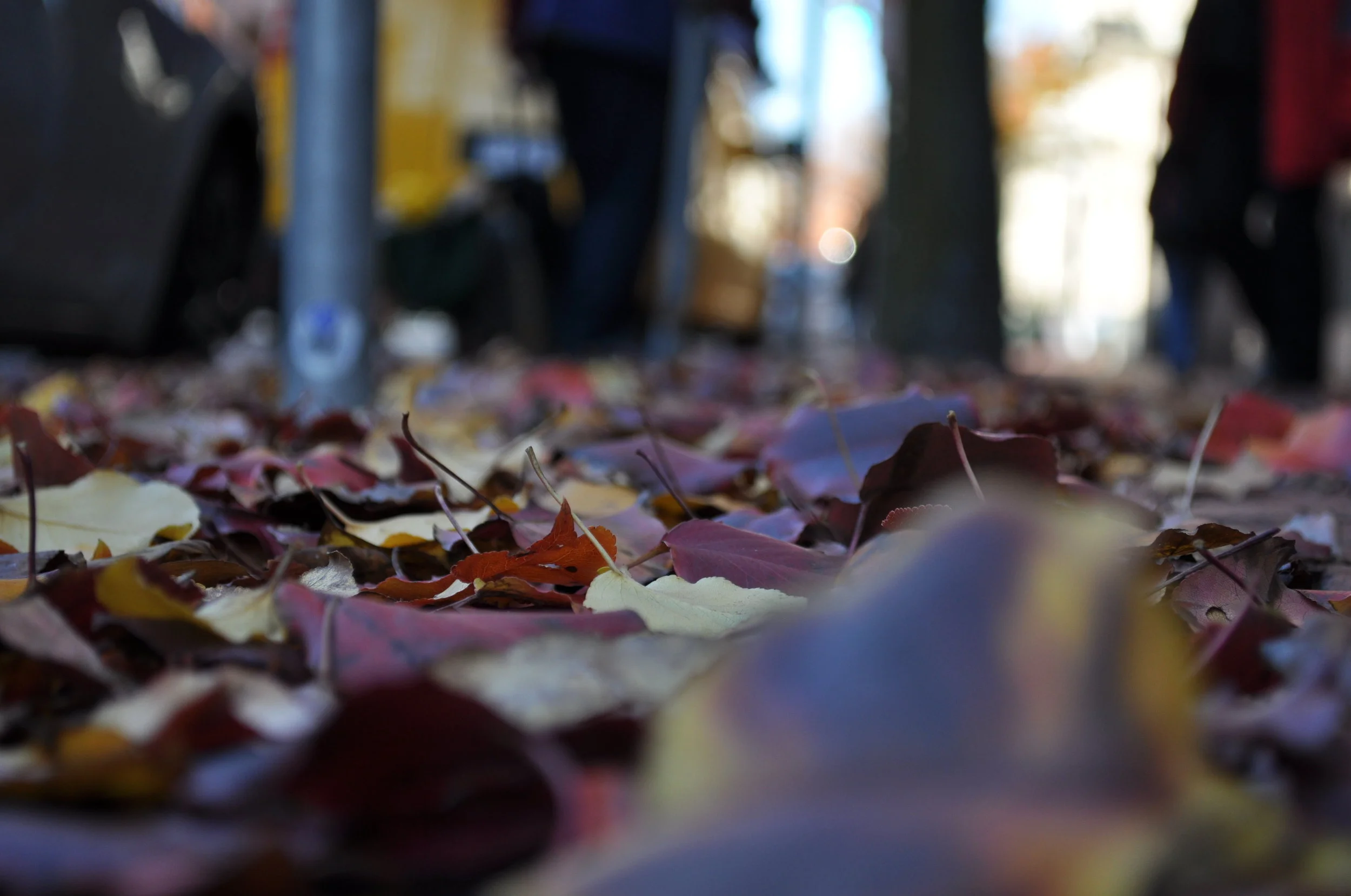 boston(12).JPG