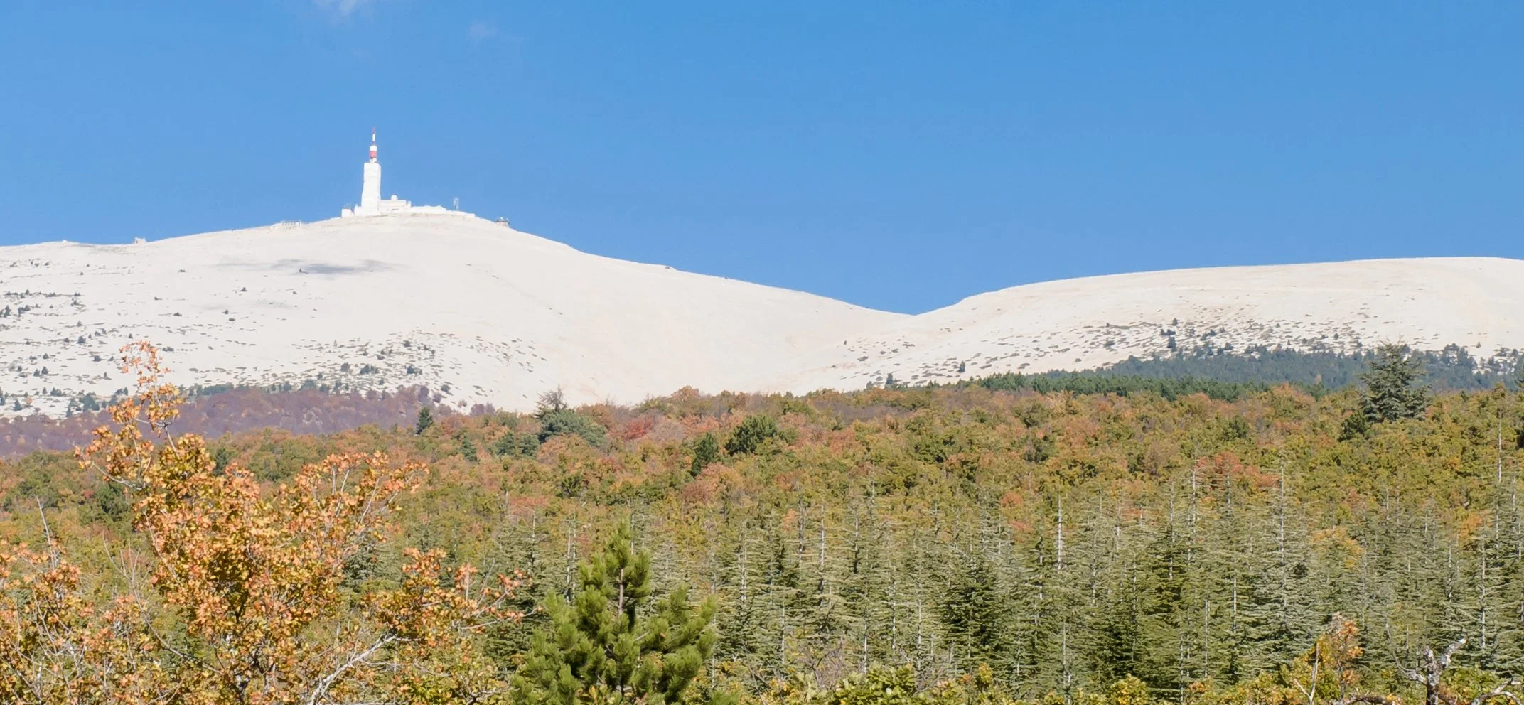 Ventoux from afar cropped.jpg