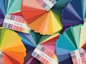 Captivating Colour workshop