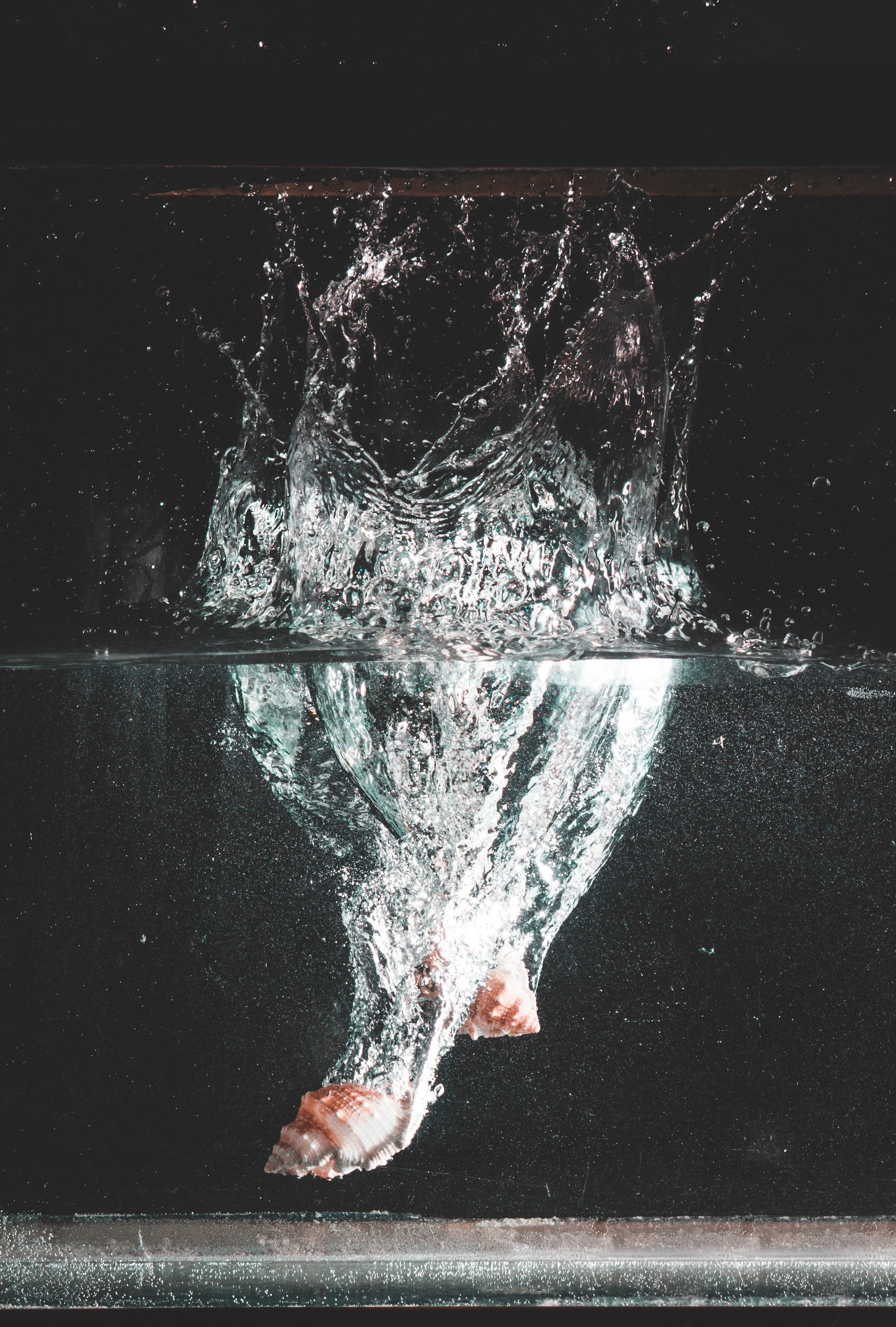 splash-of-water-1697620.jpg