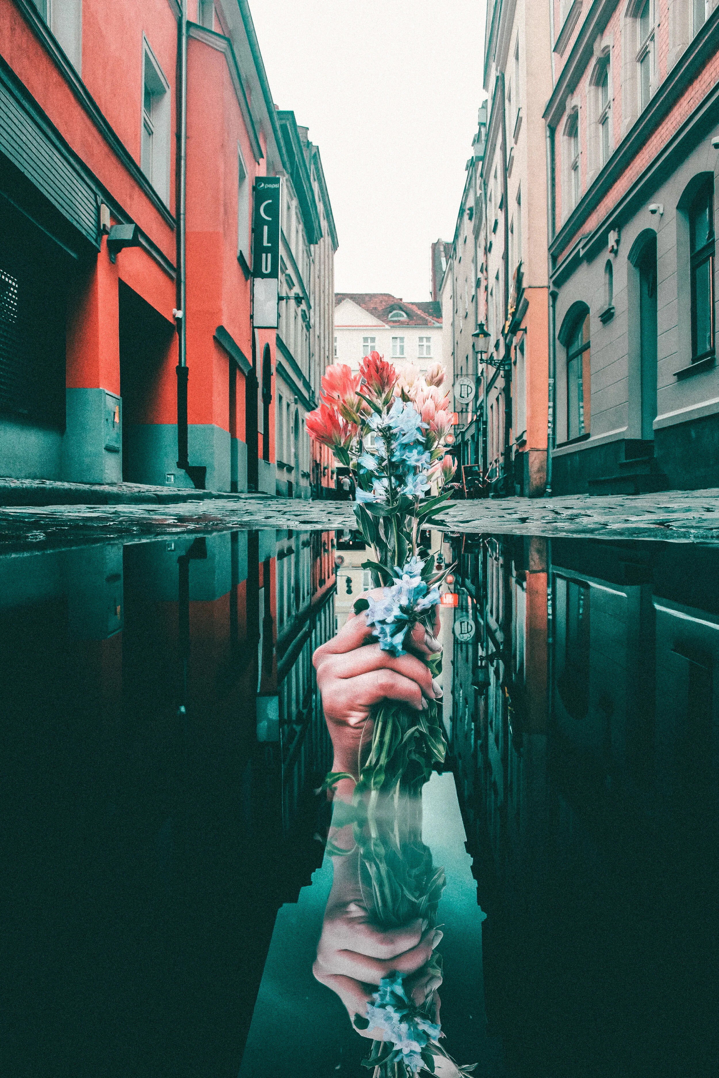 flowers puddle edit 2.jpg