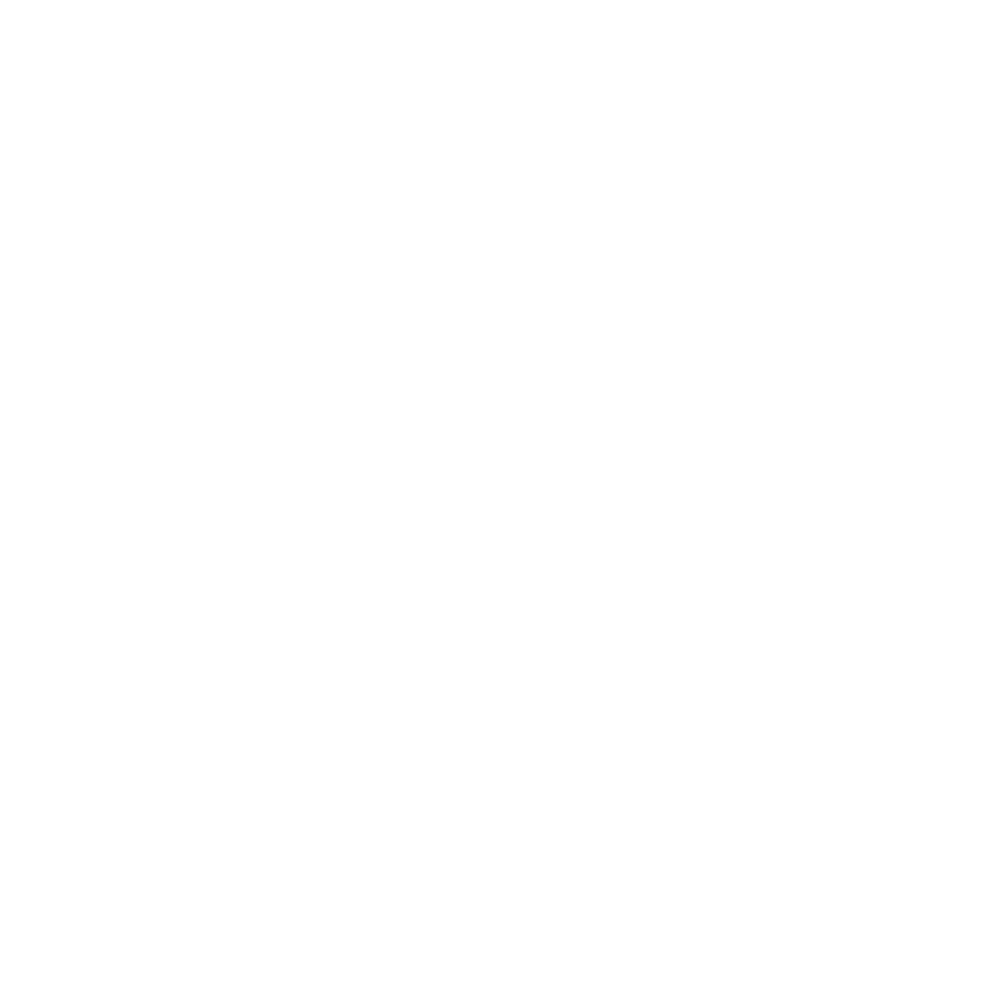 logo white.png