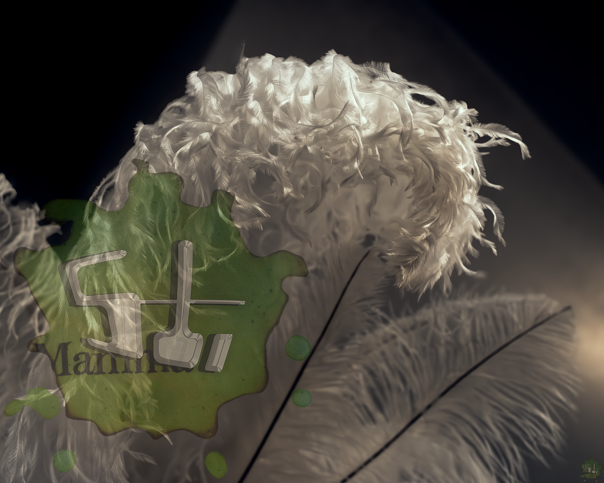 FEATHERS314 16X20 WATERMARK.png