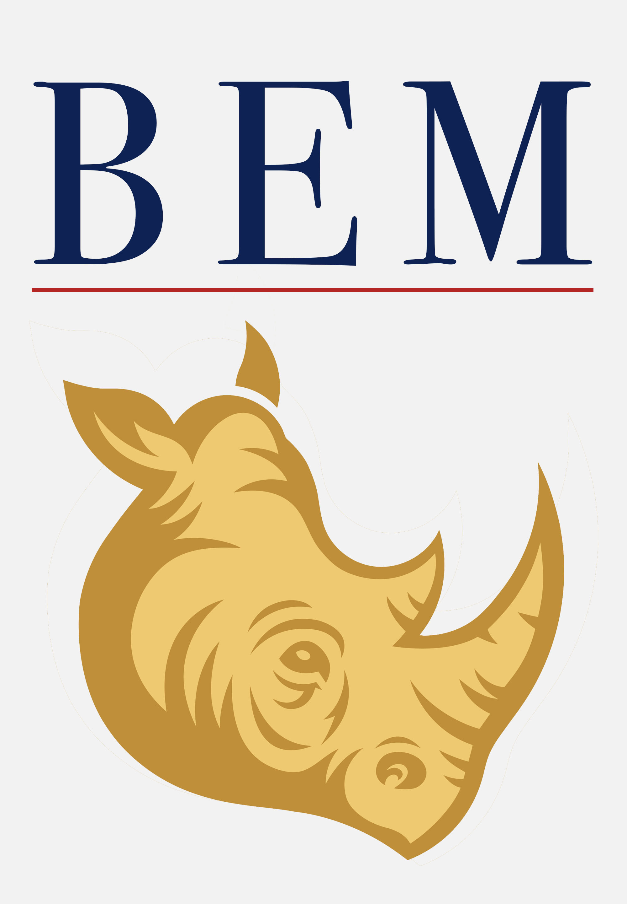 RED BEM TOP Golden Rhino2.jpg