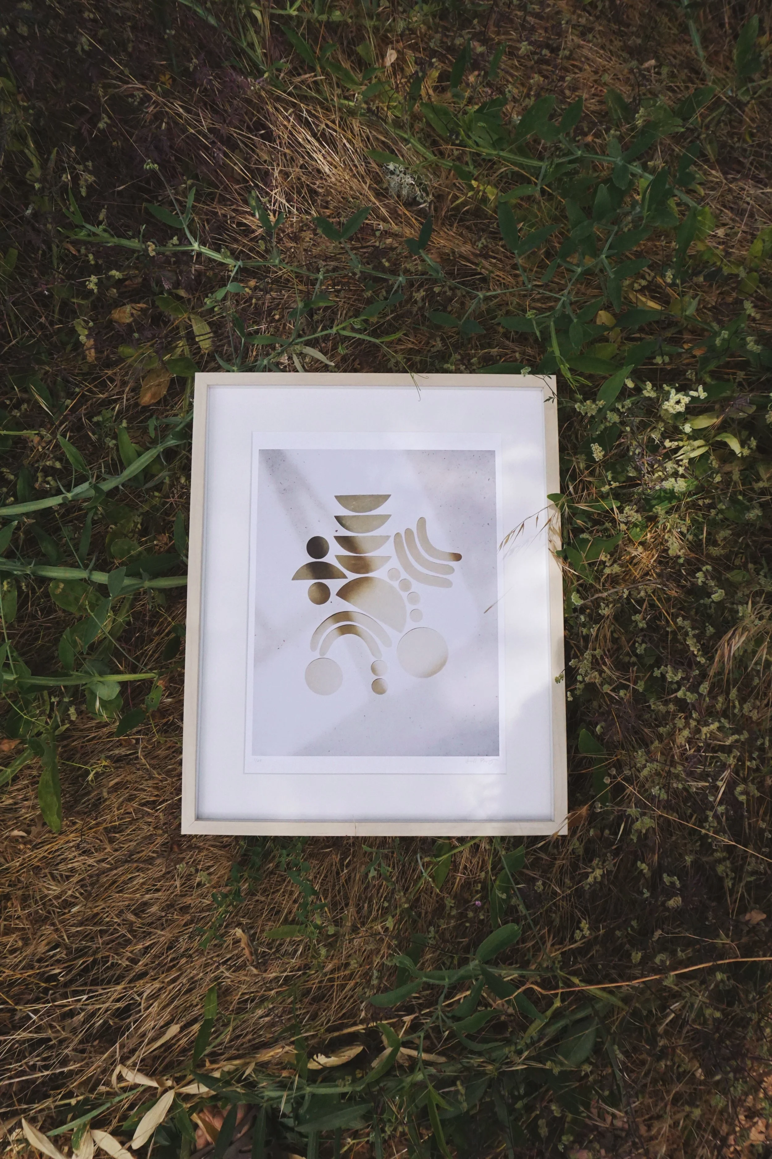 699CCE12-525C-4E30-BC98-3B56E226E269