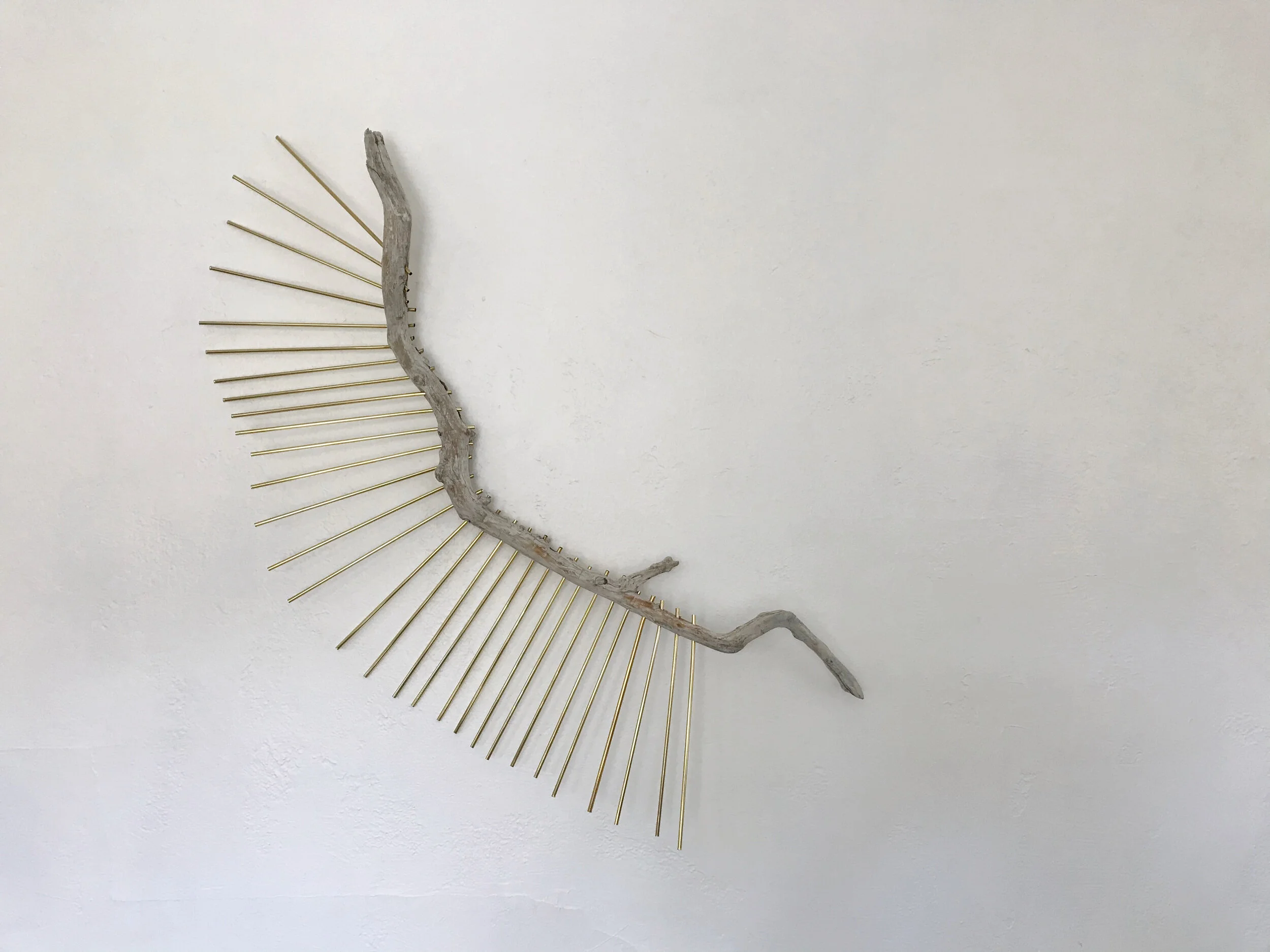 D2274232-CDAE-4BCE-9930-5798926A58D1