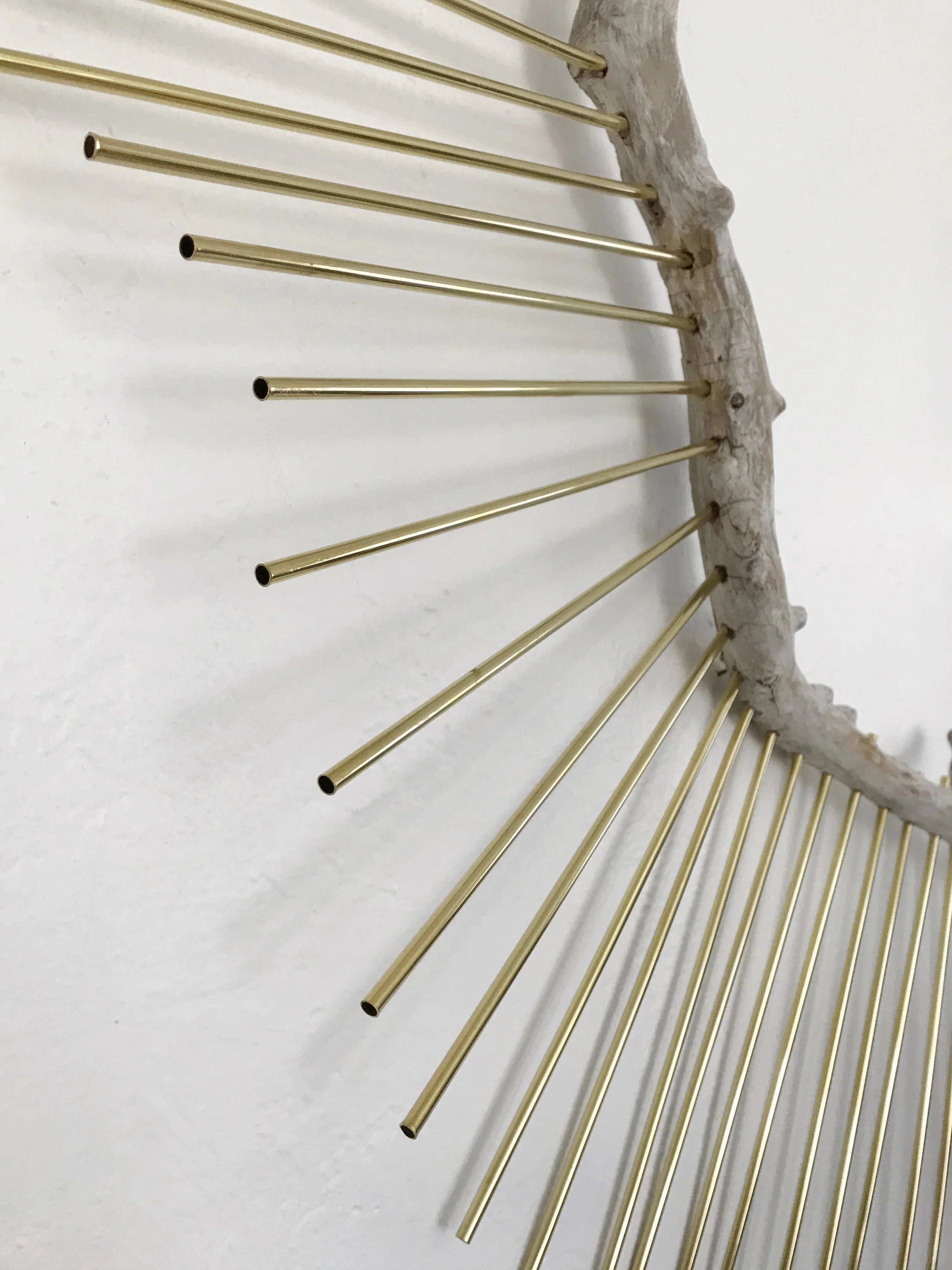 9886E711-1CF0-4A3C-B4A2-E3FE722F9446