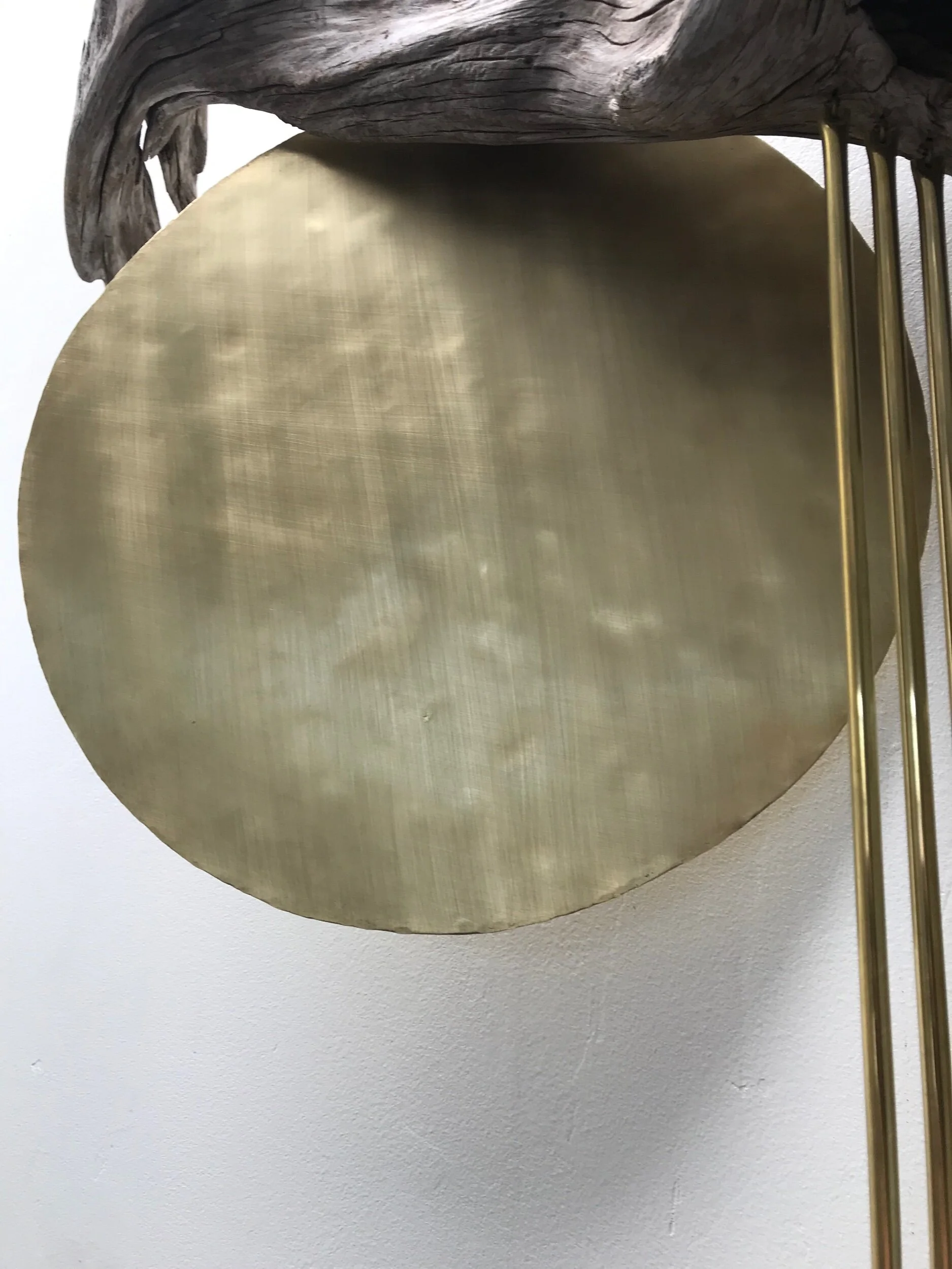 443CAFA1-3D14-421F-B128-E8F8E0875A38