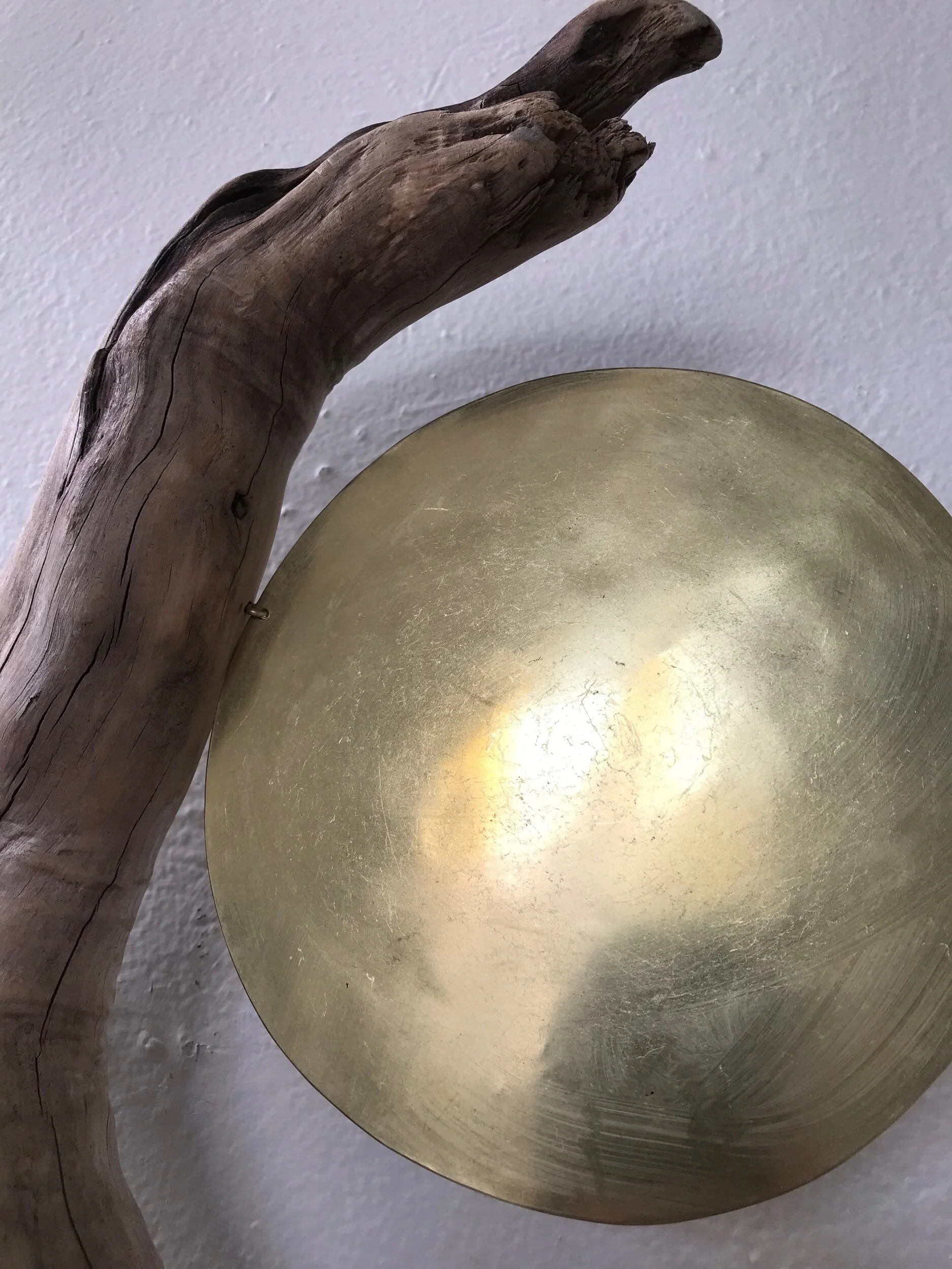 6ED65A2F-64CF-4440-8F64-E9BDBD261D7F