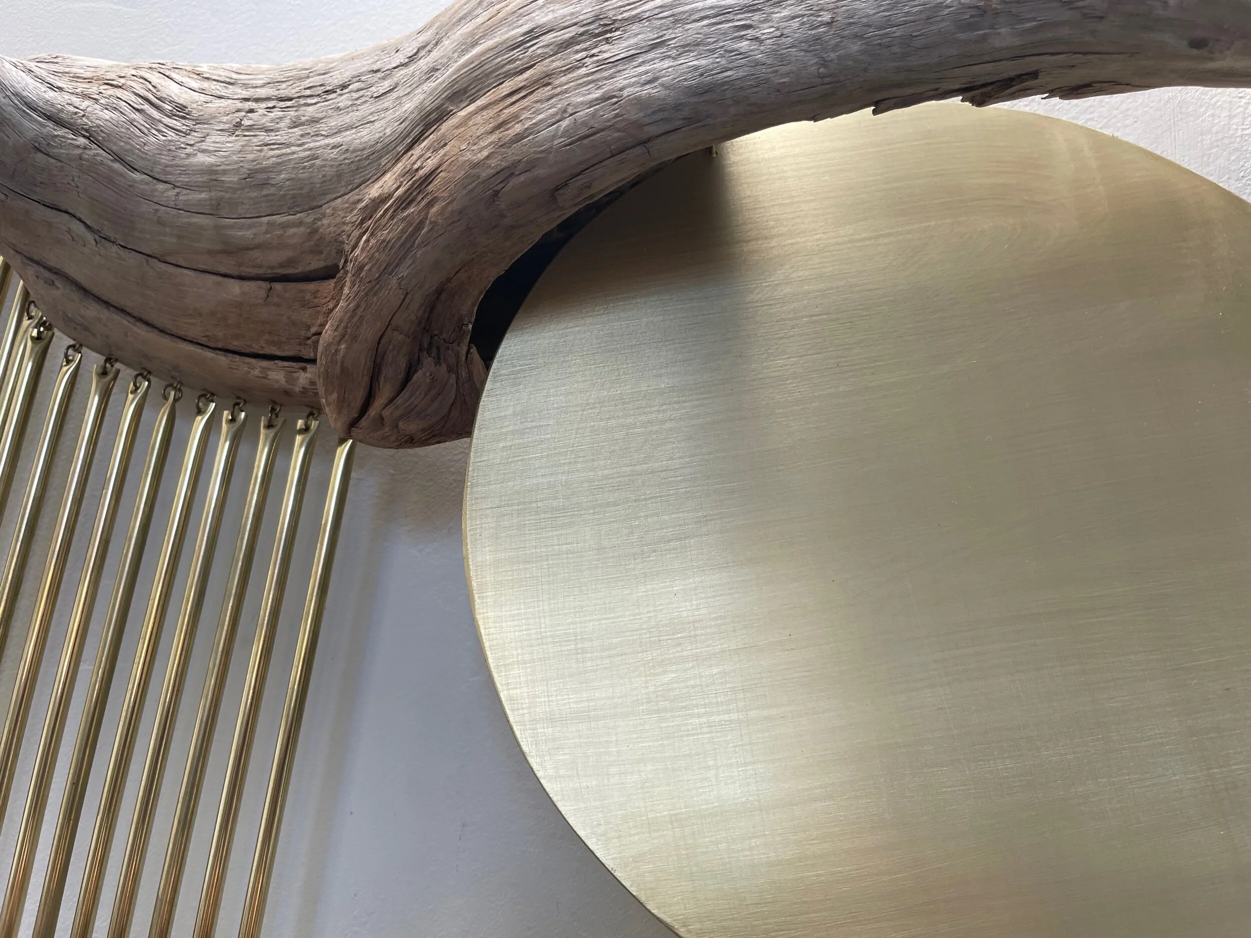 1E81DCEB-4010-4636-8D98-56CA71552102