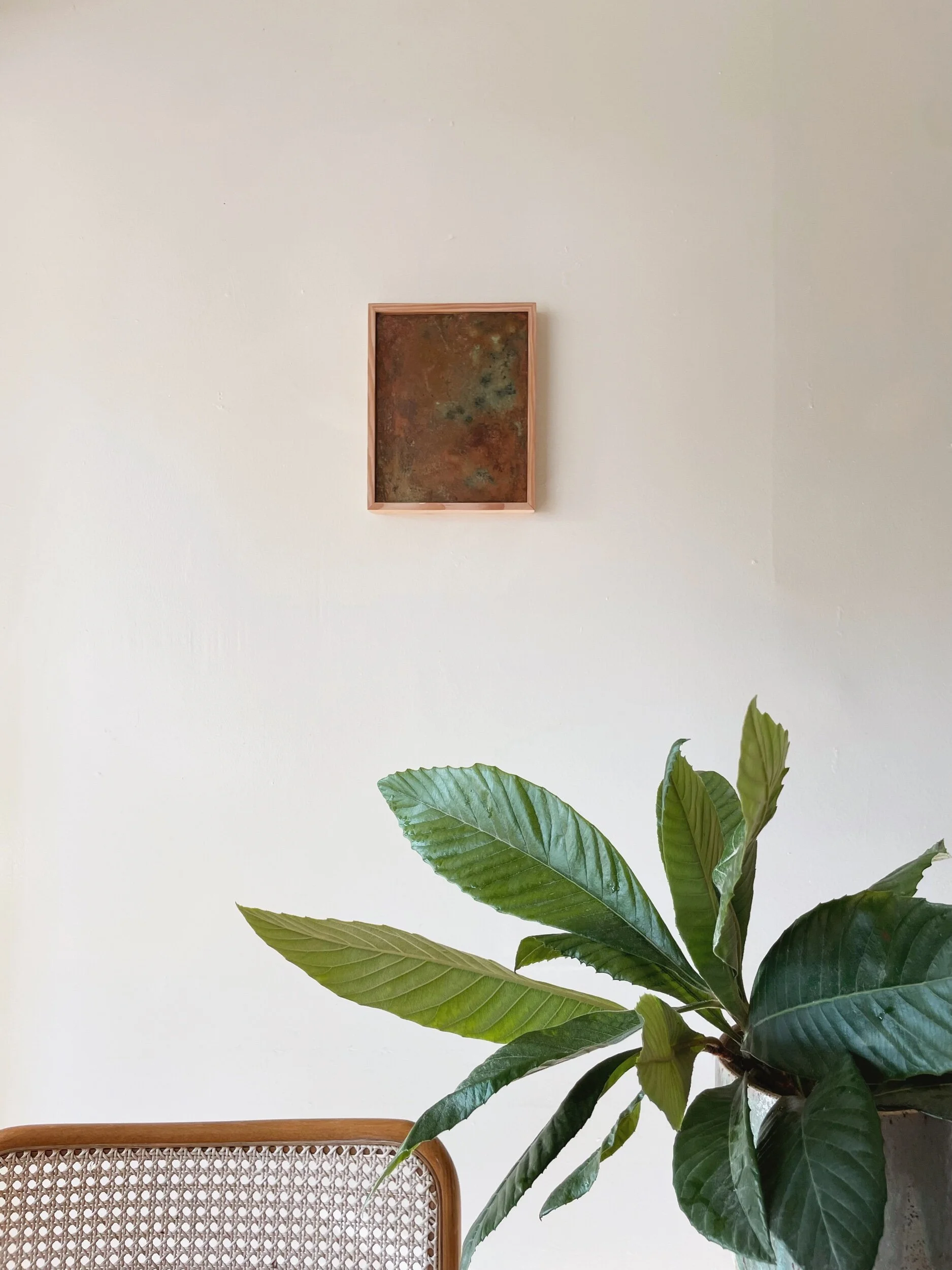 CCAFEC58-554E-493F-AB7A-791FD7276AF2