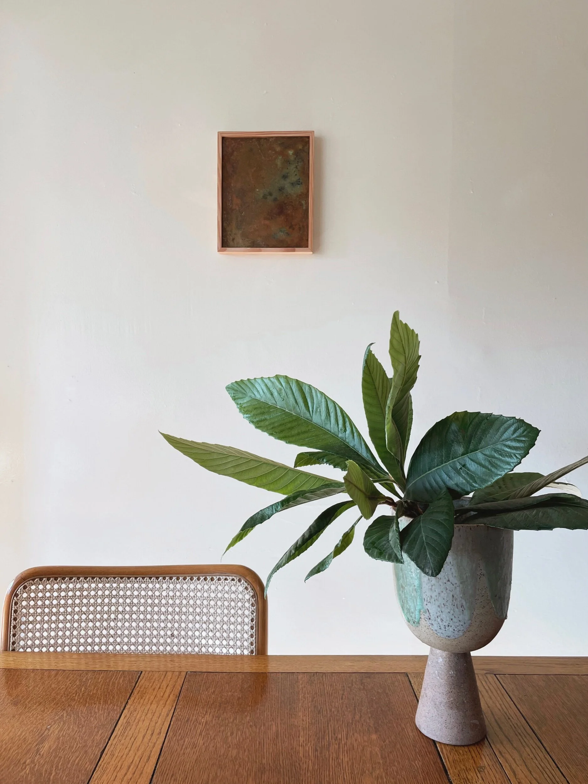 7D1FC56F-CB30-48B7-9993-B4012CFC576C