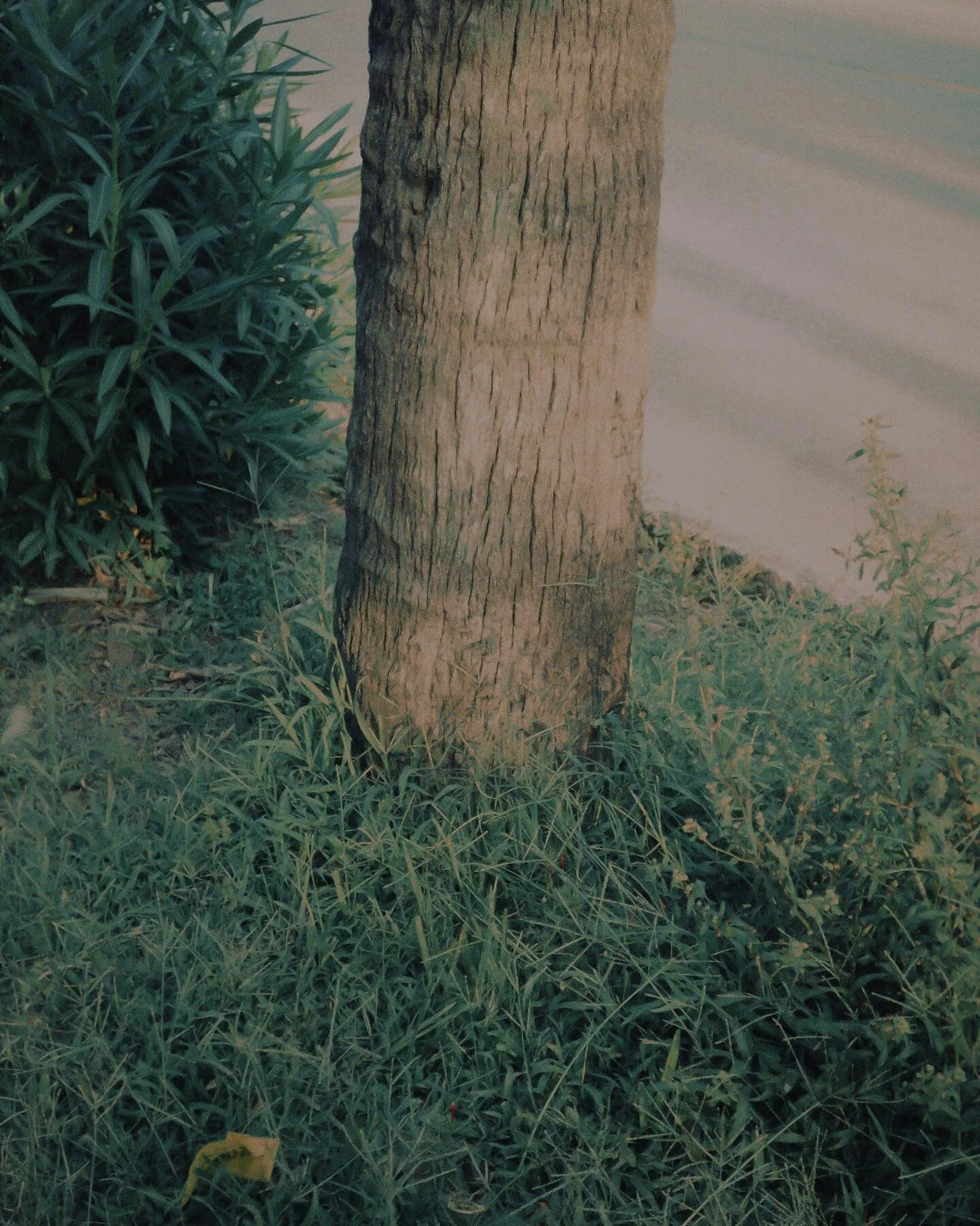7/2/2023 | Retrochrome 400