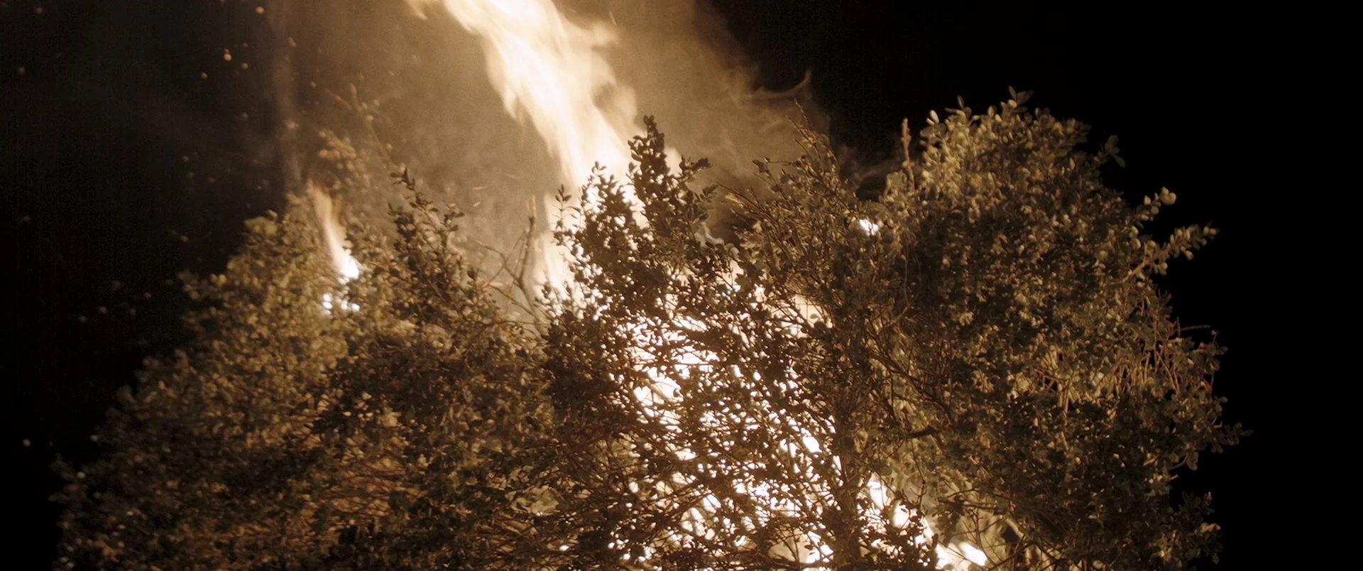 Screen Shot 2022-07-08 at 12.11.06 PM.jpg