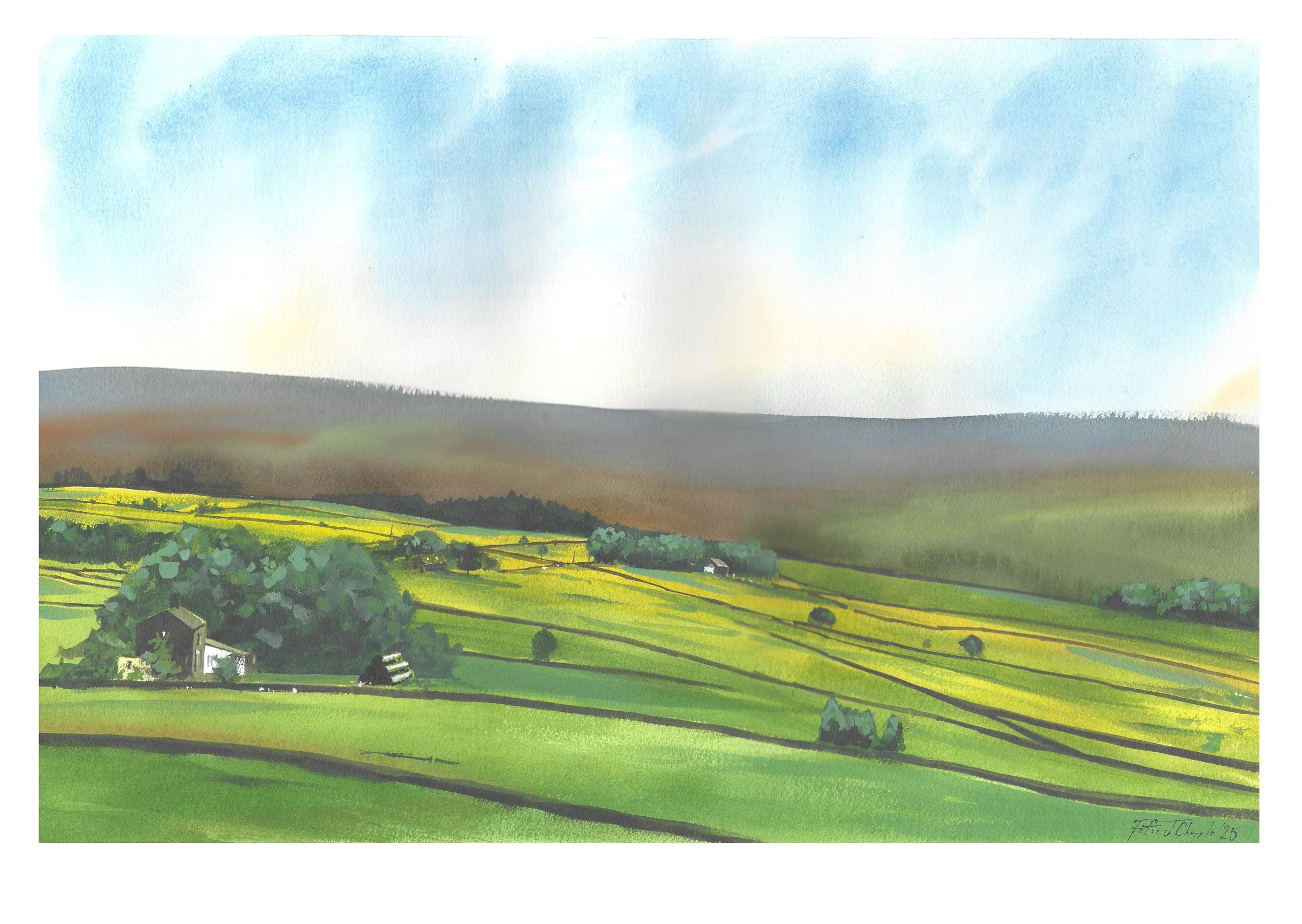 View from the Piggery.jpg