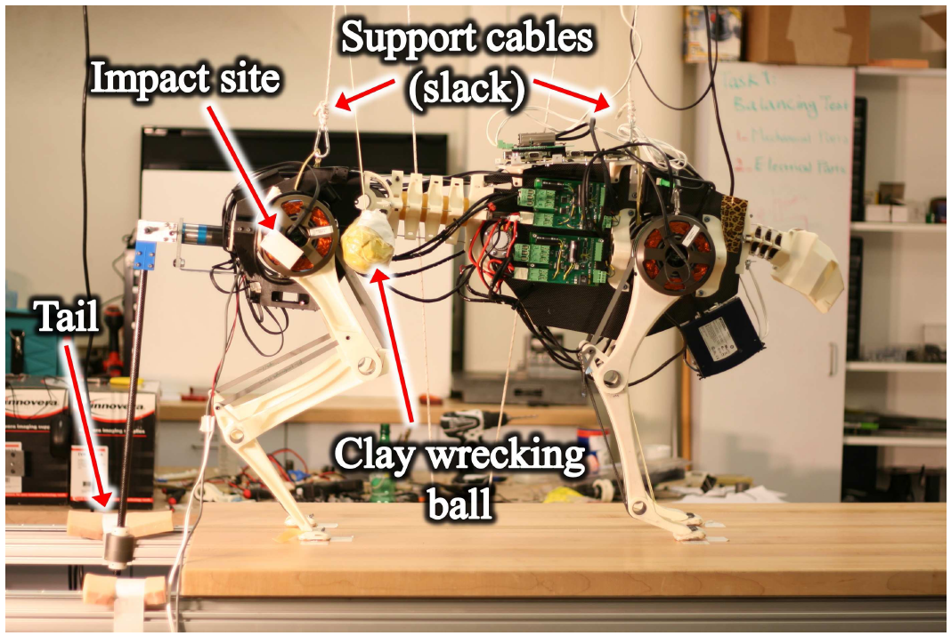 Experimental Setup.PNG