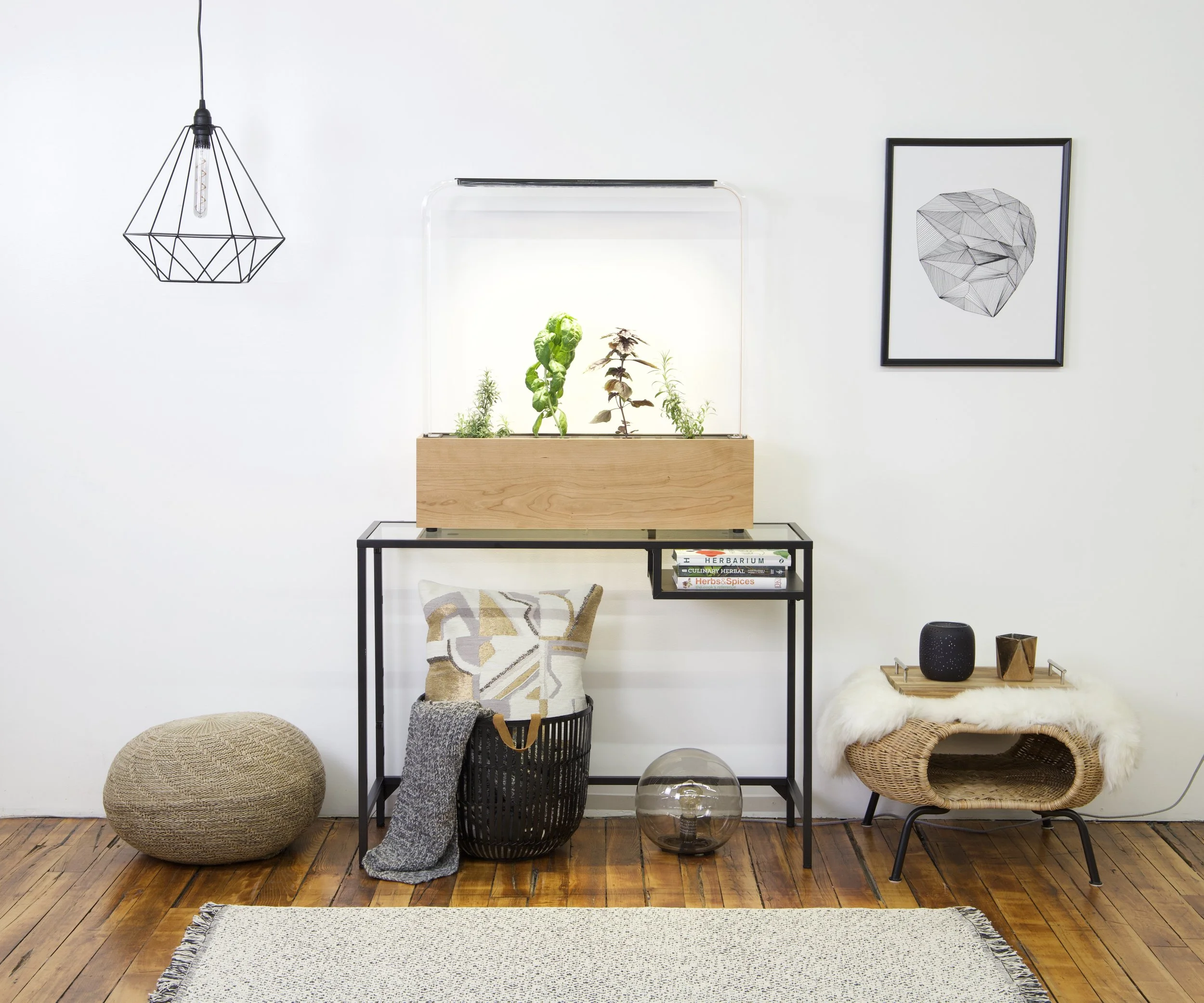  My startup, GardenByte, sells a top-of-the-line indoor garden for hydroponically growing fresh herbs indoors year round using artificial lighting in a beautiful package 