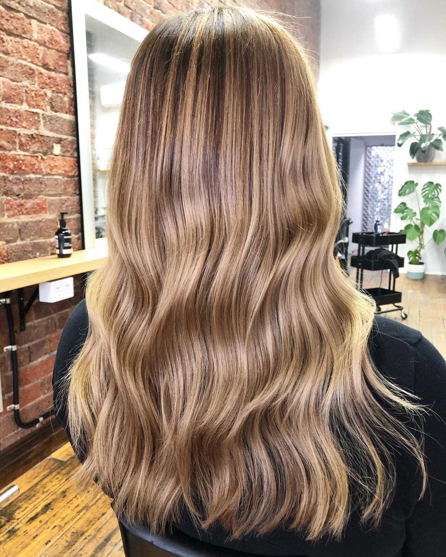 Covid box colour claimed another victim 😂
We broke through a band of super dark brown to get to this natural BRONDE 🥰✨⭐️ stunning!