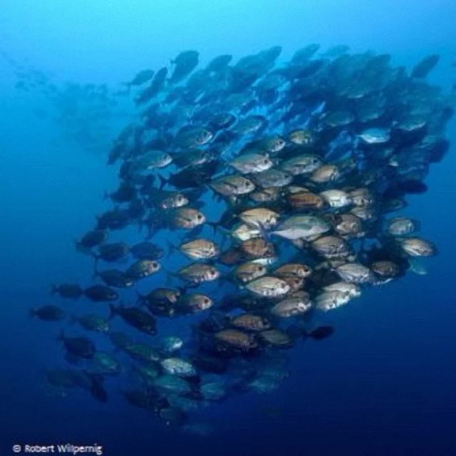 Photo courtesy of UNESCO