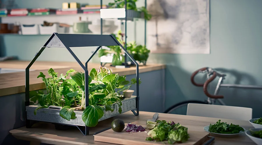 Hydroponics : Urban Gardening Cutified