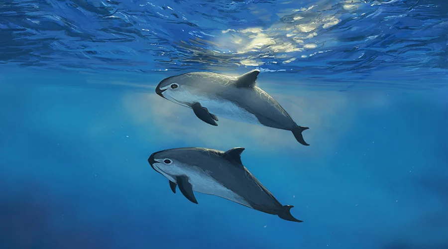 Can Drones Save Endangered Animals?