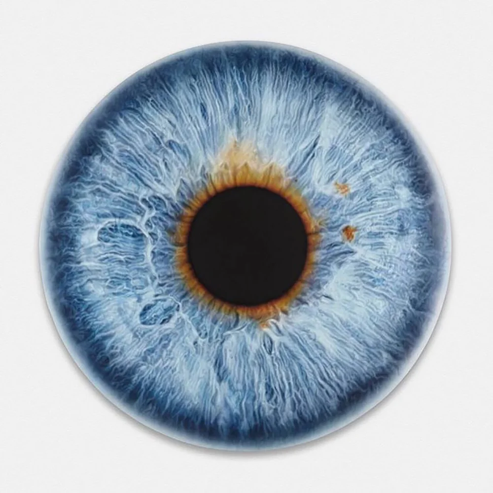 Marc Quinn, Leonardo DiCaprio's Eye, 2016, Photo courtesy of De-Pury.com