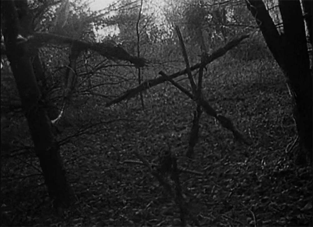 ' The Blair Witch Project '