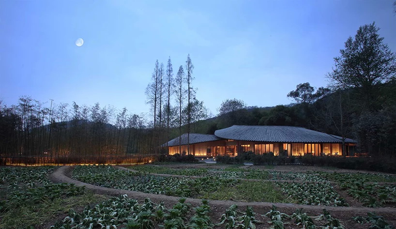 in bamboo by philip f. yuan photo by bian lin