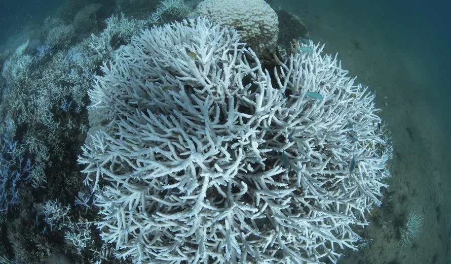 Why 1.5°C Climate Target is so Important