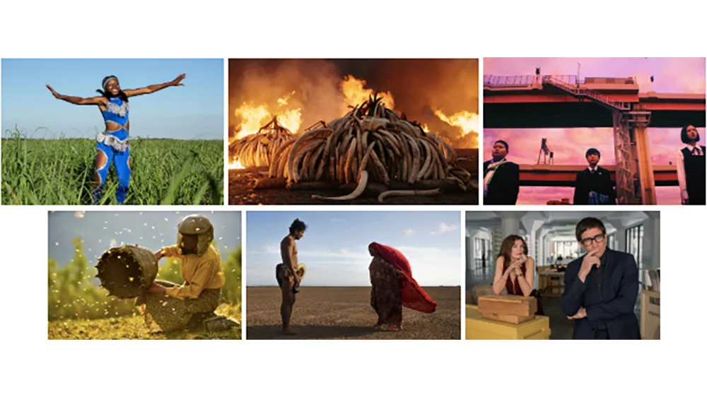 Record-Breaking Submissions for Sundance